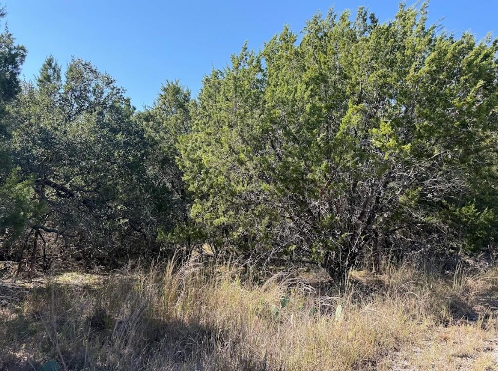 View Lot K10037 Drew Drop in Horseshoe Bay South Lot K10037 Drew Drop - front exterior - Luxury lot in Horseshoe Bay South, Horseshoe Bay, TX