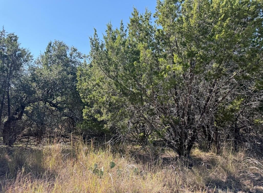 View Lot K10037 Drew Drop in Horseshoe Bay South Lot K10037 Drew Drop - front exterior - Luxury lot in Horseshoe Bay South, Horseshoe Bay, TX