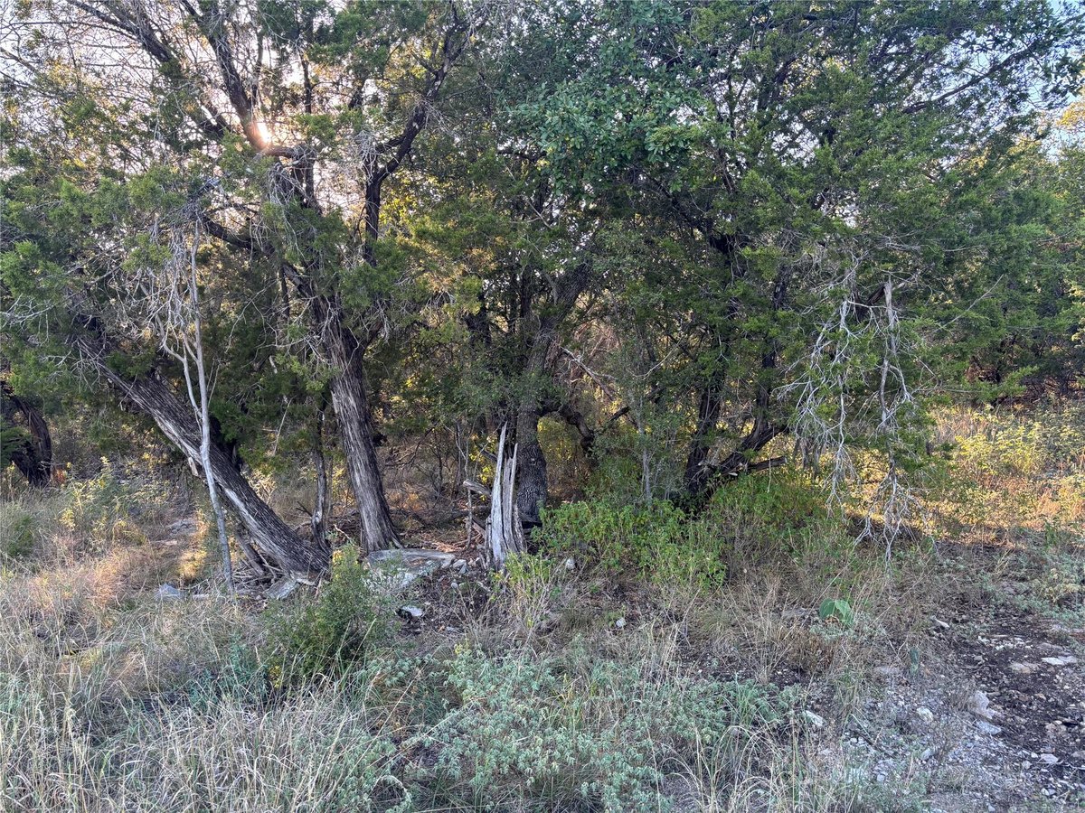 View Lot K4106 Coon Ct in Horseshoe Bay South Lot K4106 Coon Ct - front exterior - Luxury lot in Horseshoe Bay South, Horseshoe Bay, TX