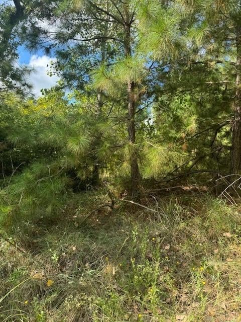 View Lots 1338 and 1339 Tahitian DR in Tahitian Village Lots 1338 and 1339 Tahitian DR - property photo 1 - Luxury lot in Tahitian Village, Bastrop, TX