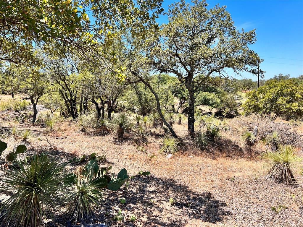 View Lots 284-286 TBD W Castlelake Dr in Greencastle Lots 284-286 TBD W Castlelake Dr - front exterior - Luxury lot in Greencastle, Granite Shoals, TX