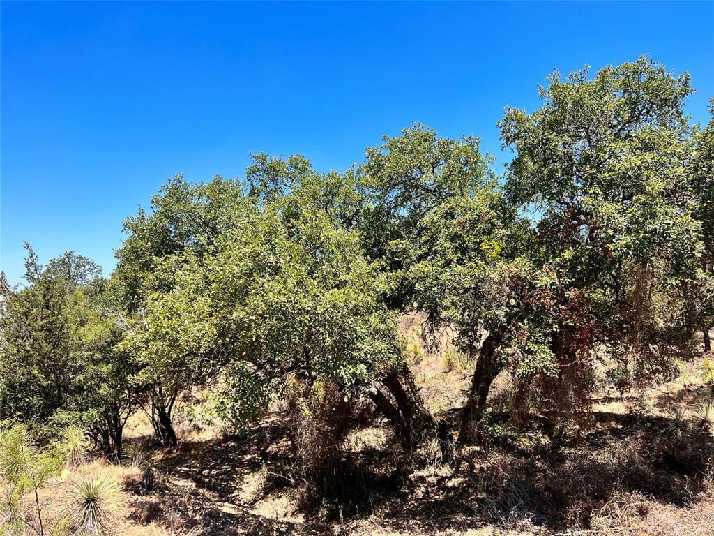 View Lots 320-323 TBD W. Castlebriar Dr in Greencastle Lots 320-323 TBD W. Castlebriar Dr - front exterior - Luxury lot in Greencastle, Granite Shoals, TX