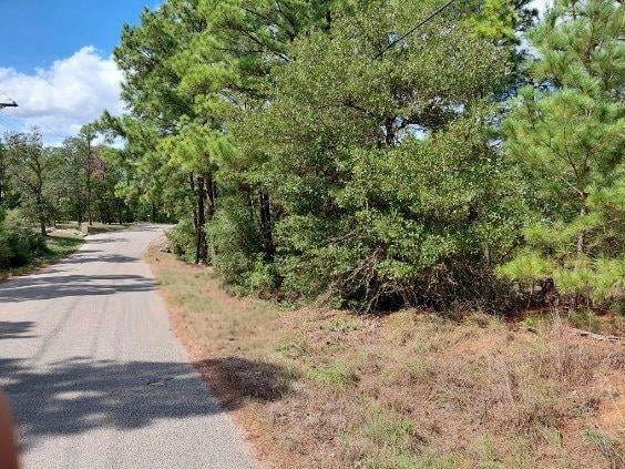 View Lot 6 & 7 Wahane LN in Bastrop Lot 6 & 7 Wahane LN, photo 1 of 28, Bastrop, Bastrop, TX