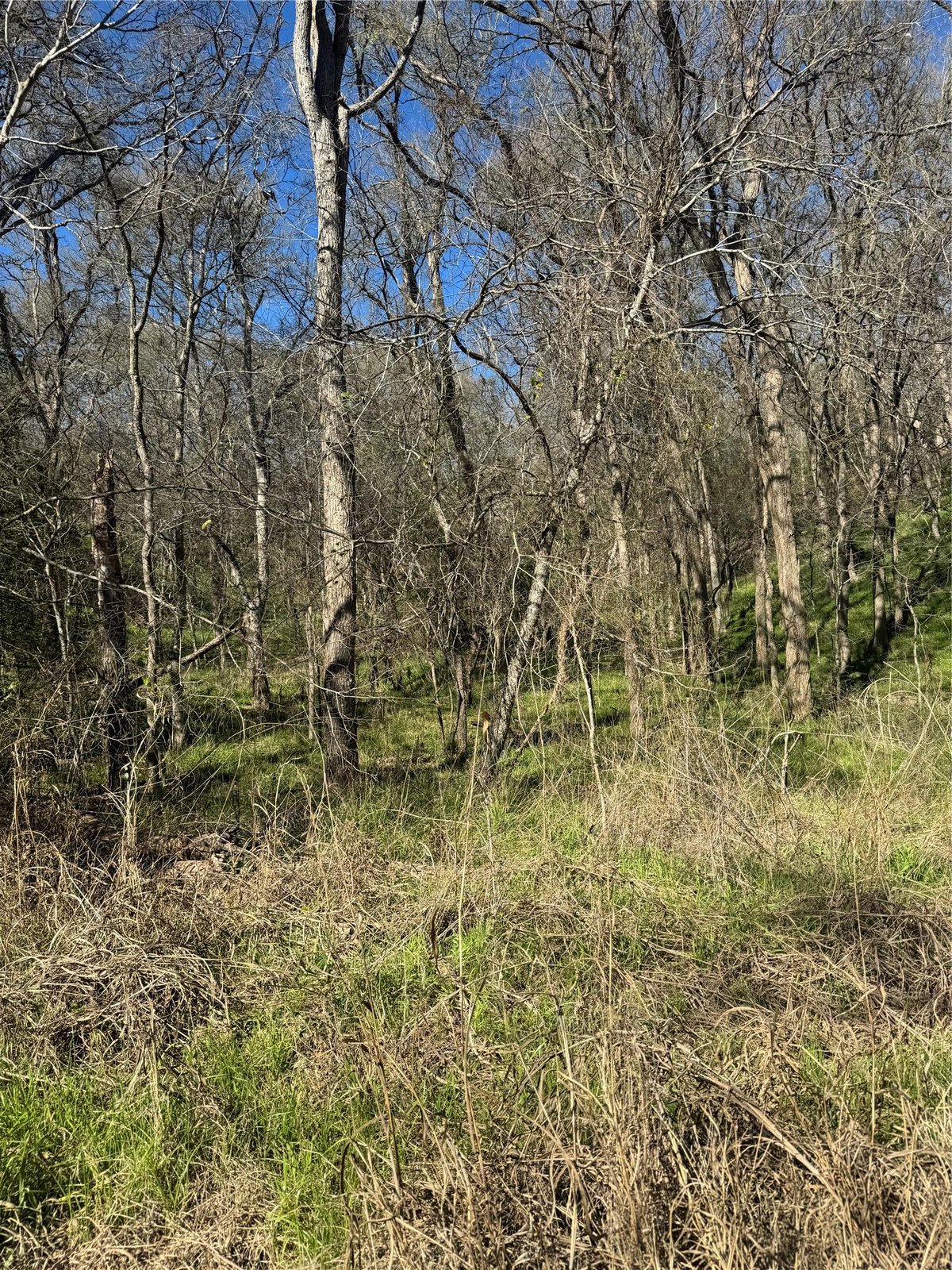 View Lots 638. 639. 640 Kaukonahua Ln in Tahitian Village POA Lots 638. 639. 640 Kaukonahua Ln - front exterior - Luxury lot in Tahitian Village POA, Bastrop, TX