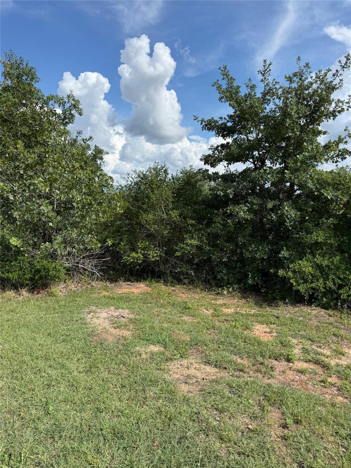 View Lots 89-90 Pintail LN in Circle D Lots 89-90 Pintail LN - property photo 1 - Luxury lot in Circle D, Bastrop, TX