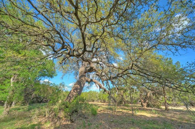 View Star Gazer Lot 8 Stargazer Dr in Stargazer Ranch Star Gazer Lot 8 Stargazer Dr - front exterior - Luxury lot in Stargazer Ranch, Lampasas, TX