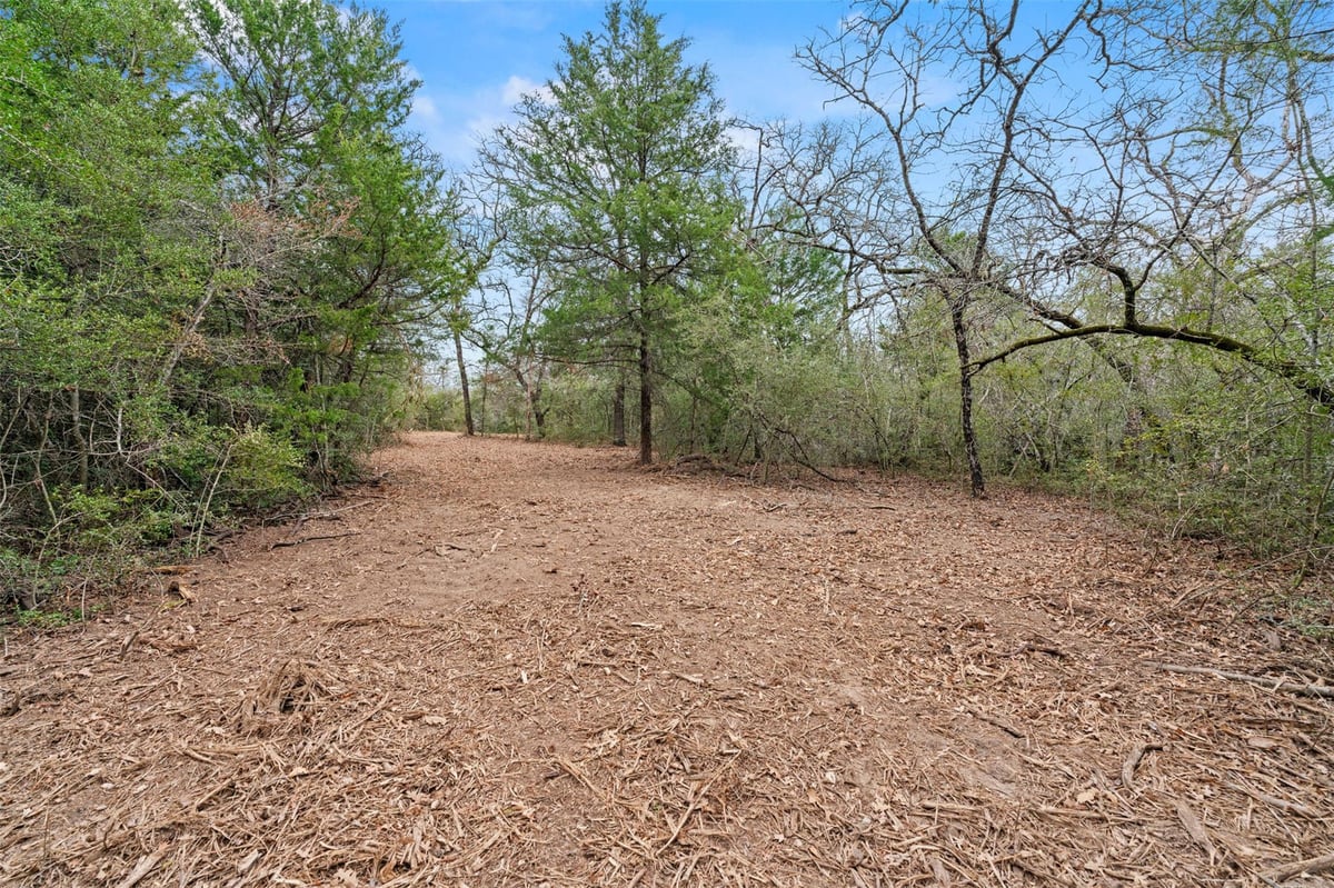 View TBD County Road 326 Lot 8 in Rockdale TBD County Road 326 Lot 8, photo 1 of 14, Rockdale, Rockdale, TX