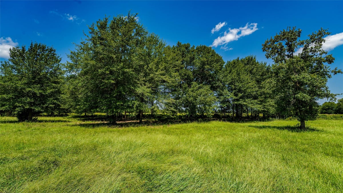 View Tbd Cr 357 in Gause Tbd Cr 357, photo 1 of 19, Gause, Gause, TX