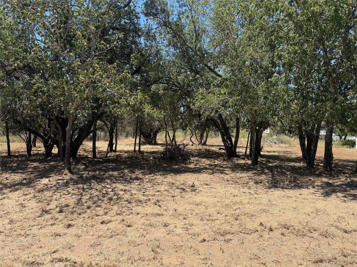 View Lot #494 Driftwood LN Unit #494 in Yellowstone Lot #494 Driftwood LN Unit #494 - property photo 1 - Luxury lot in Yellowstone, Cottonwood Shores, TX