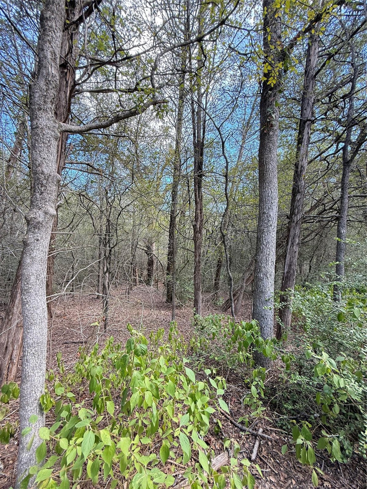 View TBD Hanauma in Bastrop TBD Hanauma, photo 1 of 15, Bastrop, Bastrop, TX