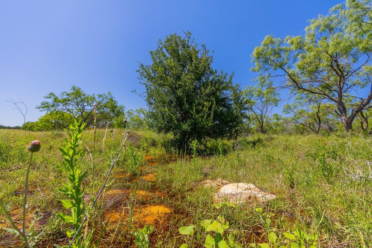 View TBD Hidden Pond Ranch County Road 180 in Purmela TBD Hidden Pond Ranch County Road 180, photo 1 of 32, Purmela, Purmela, TX