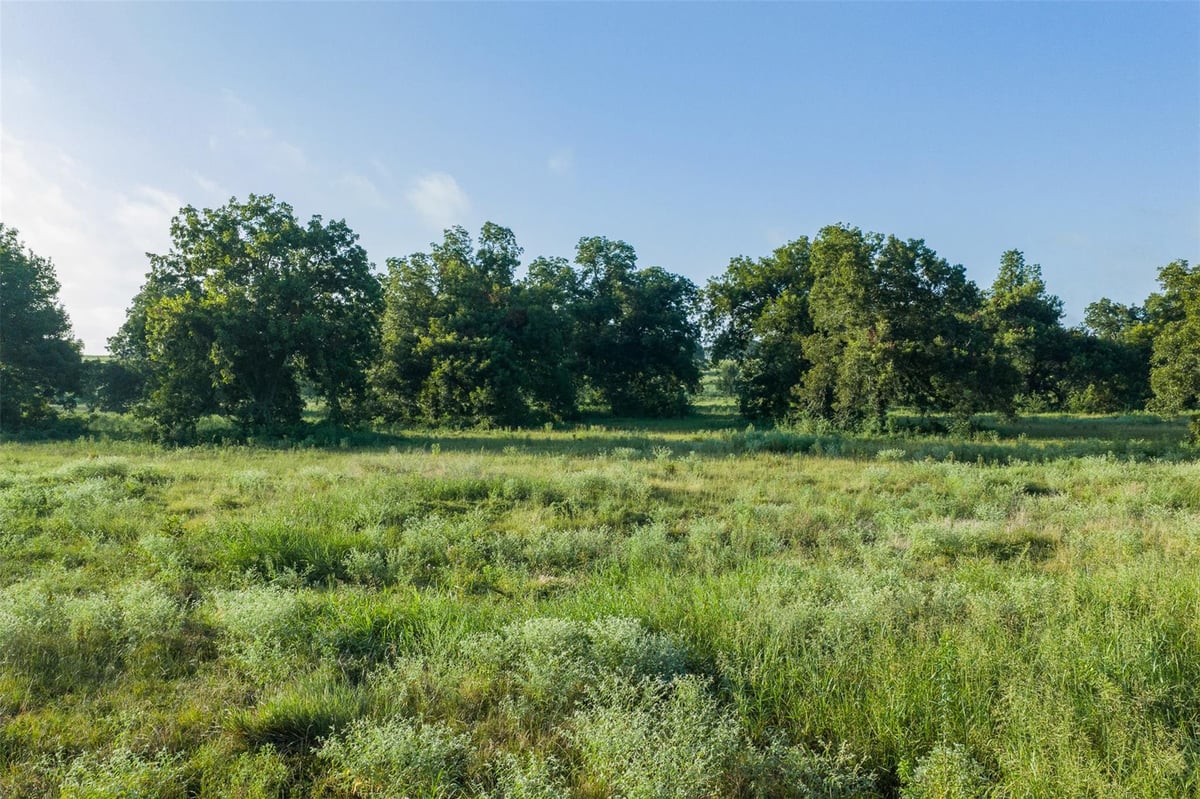 Tbd Lcr 721, photo 1 of 18, Thornton, Thornton, TX