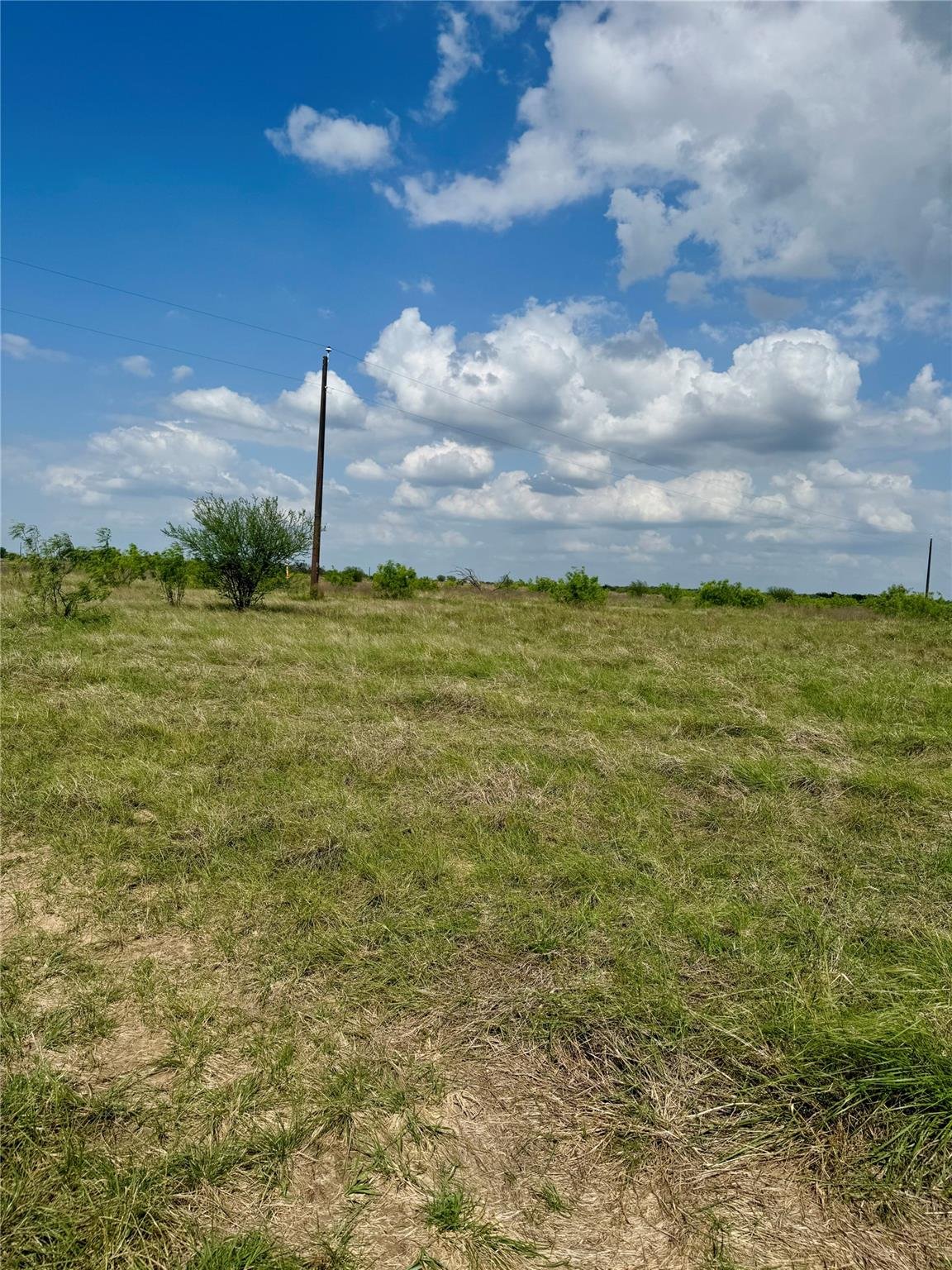 View 311 Cr 473 in Hosick Ranch 311 Cr 473 - property photo 1 - Luxury lot in Hosick Ranch, Thrall, TX
