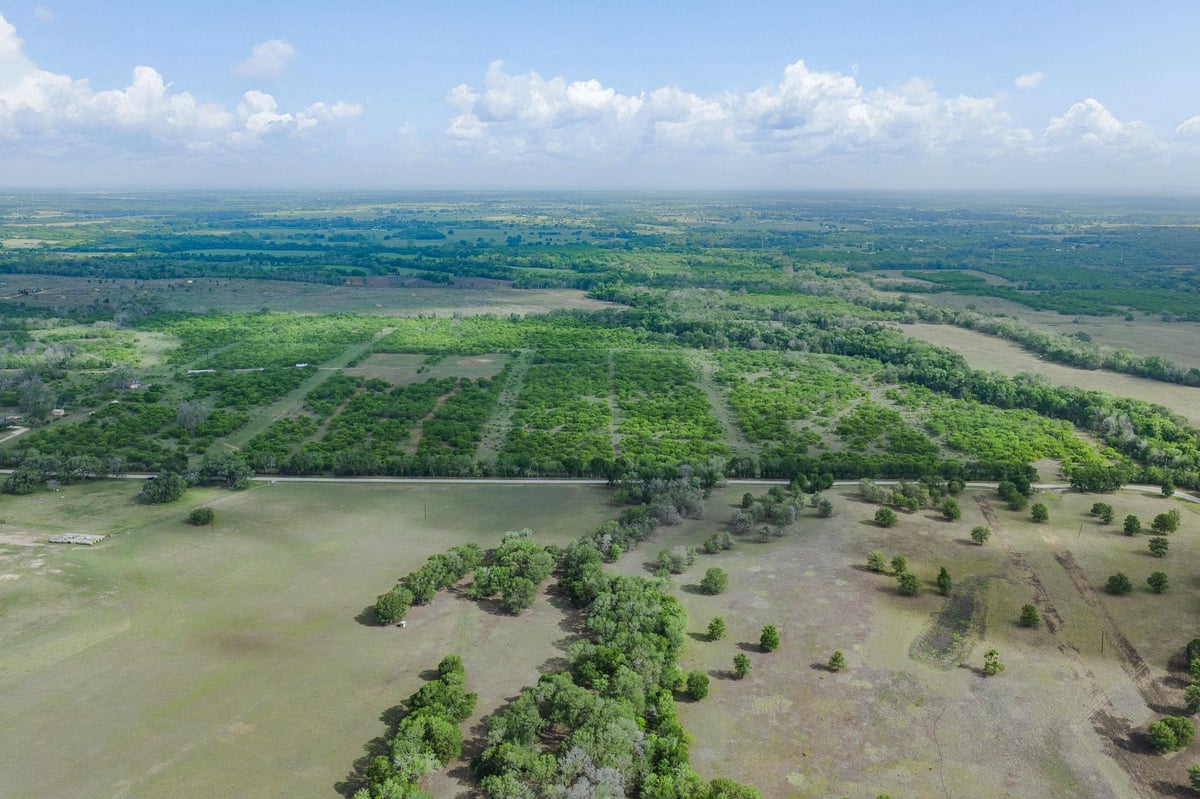View TBD Lot 4 Young LN in Lockhart TBD Lot 4 Young LN, photo 1, Lockhart, Lockhart, TX