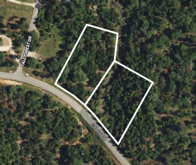 View TBD - Lots 1 & 41 Colovista Dr in Bastrop TBD - Lots 1 & 41 Colovista Dr, photo 1 of 1, Bastrop, Bastrop, TX