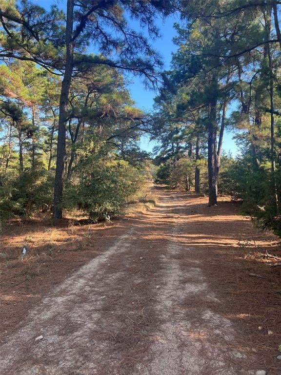 View TBD Pine Lodge DR in Bastrop TBD Pine Lodge DR, photo 1 of 4, Bastrop, Bastrop, TX
