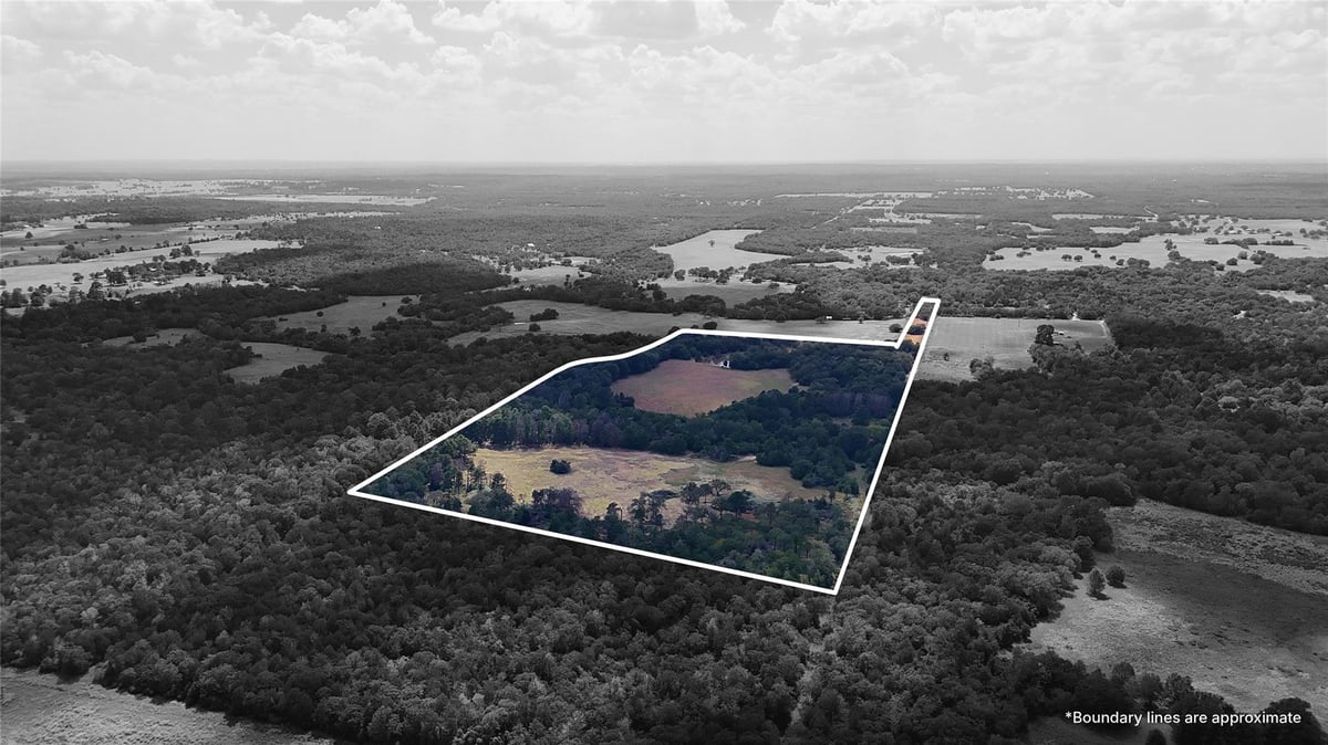 View TBD St Delight Rd (Tracts 8 & 13) in Paige TBD St Delight Rd (Tracts 8 & 13), photo 1 of 1, Paige, Paige, TX