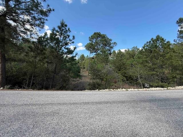 View Lot 1198 Wahane Ln in Tahitian Village Lot 1198 Wahane Ln - front exterior - Luxury lot in Tahitian Village, Bastrop, TX