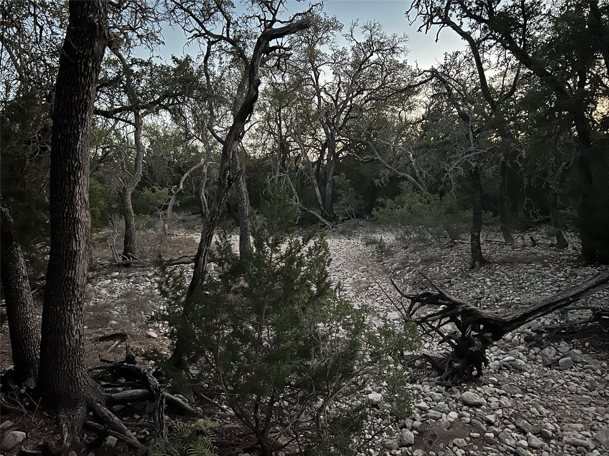 View TBD County Road 450 in Rocksprings TBD County Road 450, photo 1 of 23, Rocksprings, Rocksprings, TX