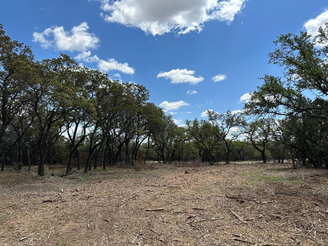 View TBD County Road 529 in Mullin TBD County Road 529, photo 1 of 9, Mullin, Mullin, TX