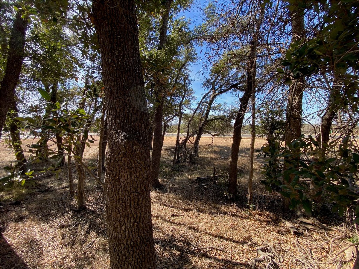 Primary bedroom at 101 Fayt Ct - Cimarron Hills/Ranches of Cimarron Hills, Georgetown, TX
