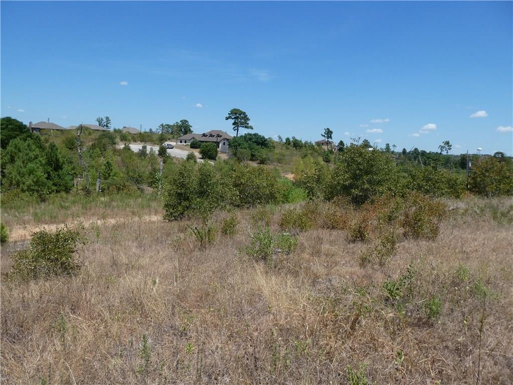 View TBD Mokalau in Bastrop TBD Mokalau, photo 1, Bastrop, Bastrop, TX