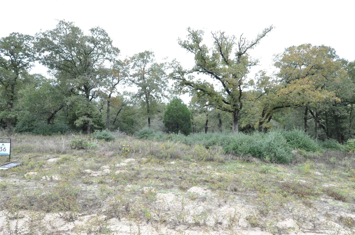 View TBD OakView LN in Thrall TBD OakView LN, photo 1 of 5, Thrall, Thrall, TX