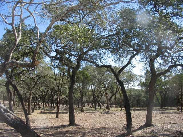 View tbd Red Sky RD in Wimberley tbd Red Sky RD, photo 1, Wimberley, Wimberley, TX