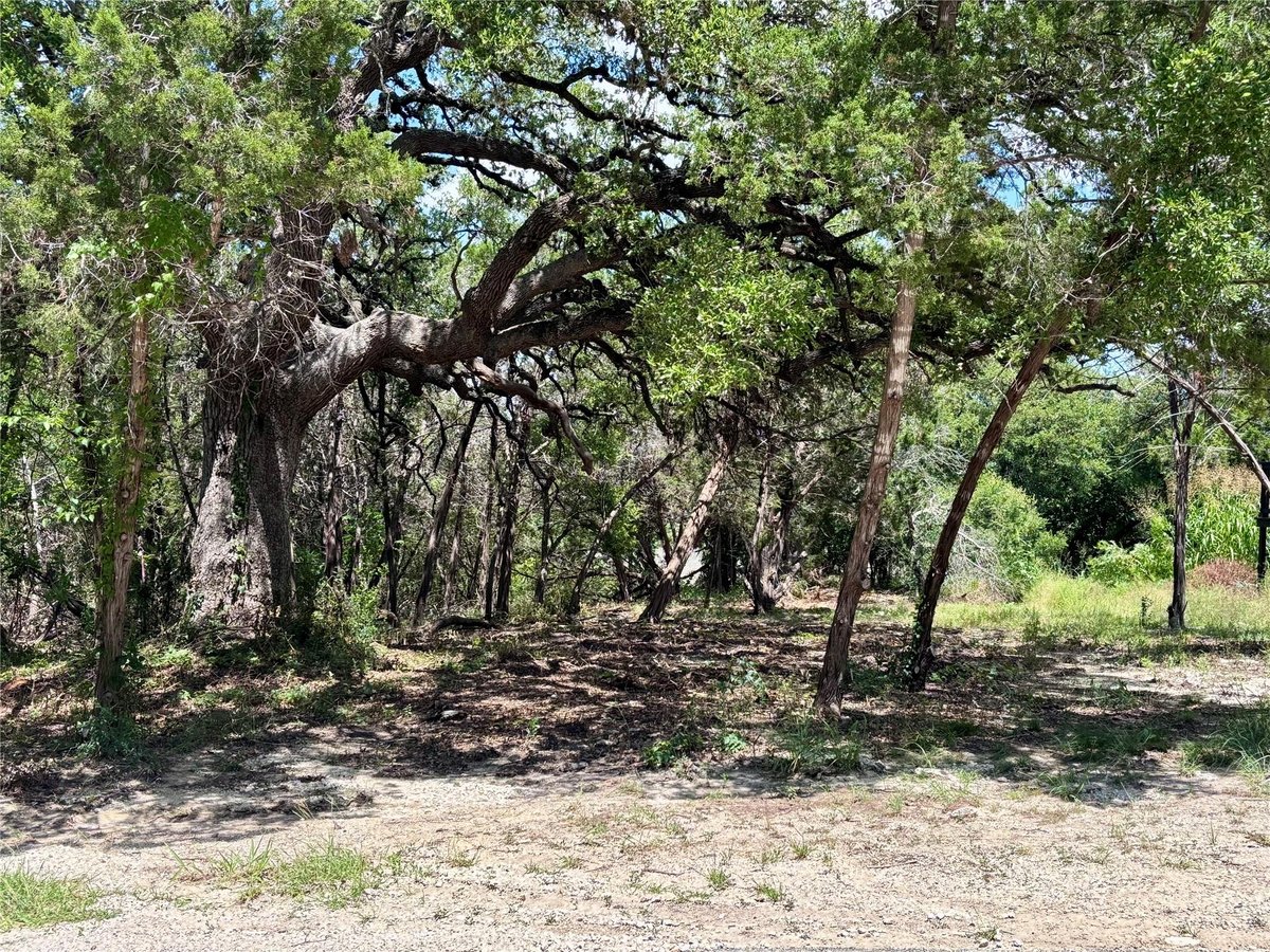 View TBD S Contour Dr in Lake of the Hills West TBD S Contour Dr - front exterior - Luxury lot in Lake of the Hills West, Spring Branch, TX