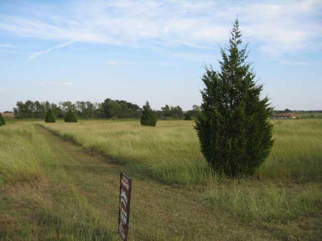 View tr 22 County Road 422 in Taylor tr 22 County Road 422, photo 1, Taylor, Taylor, TX