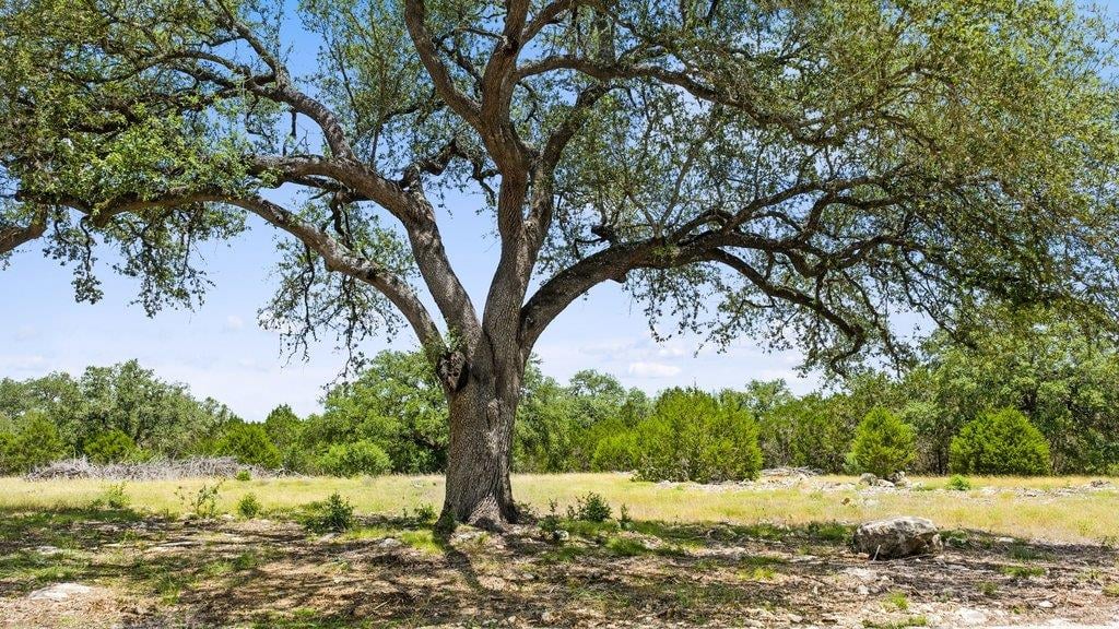View Tract 5 Cypress Cove RD in Spring Branch Tract 5 Cypress Cove RD - property photo 1 - Luxury lot in Spring Branch, Spring Branch, TX