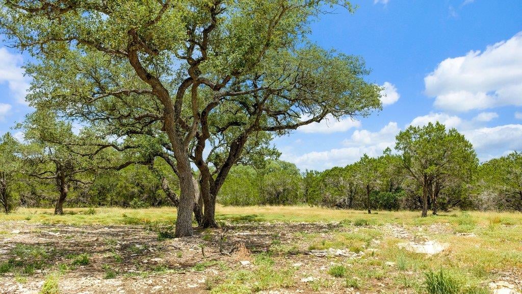 View Tract 8 Cypress Cove RD in Spring Branch Tract 8 Cypress Cove RD - property photo 1 - Luxury lot in Spring Branch, Spring Branch, TX