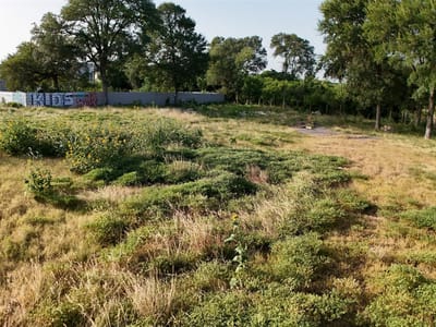 Property photo 4 at 0 Bastrop Highway - Santiago Del Valle League, Austin, TX