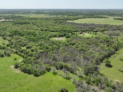 Photo 5 - 0 County Road 119 Photo 5 of 40 at 0 County Road 119 - Ledbetter, Ledbetter, TX