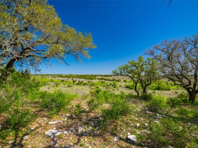 View with oak trees and open pasture at 0 County Road 208 - Watson, TX