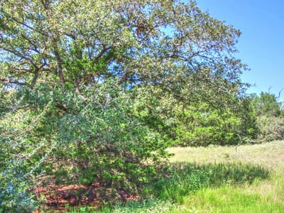 Primary bedroom at 0 Hellinger Rd - Flatonia, TX