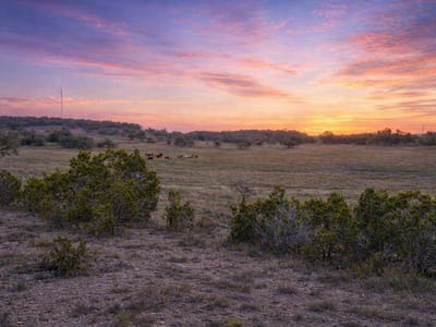 Primary bedroom at 0 Limestone HOLW - None, Wimberley, TX
