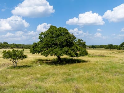 Living area at 0 Lone Man Mountain Rd - Lone Man Mountain Preserve, Wimberley, TX