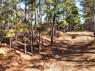 Living area at 0 Pine Lodge Drive Lot 26 - Pine Forest Unit 6 Ph Ii, Bastrop, TX
