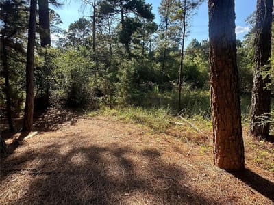 Property photo 2 at 0 Pine Oak DR - Pine Forest Unit 6 Ph II, Bastrop, TX