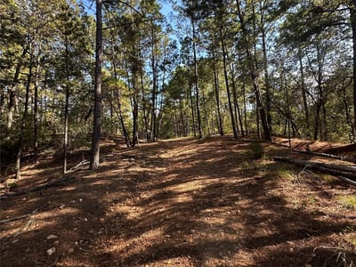 Property photo 3 at 0 Pine Oak DR - Pine Forest Unit 6 Ph II, Bastrop, TX