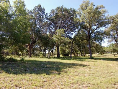 Primary bedroom at 0 Rio Gabriel - Rio Gabriel, Liberty Hill, TX