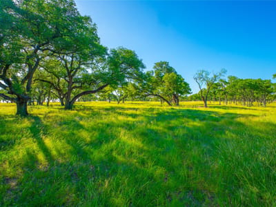 Property photo 4 at 0 Rocky Creek RNCH - Flat Creek Ranches, Johnson City, TX