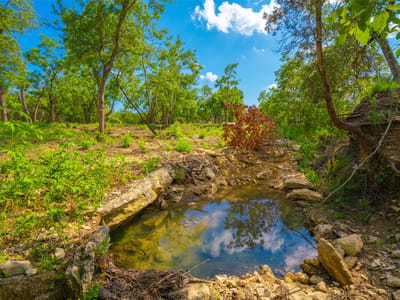 Property photo 3 at 0 Spring Haven Ranch - None, Wimberley, TX