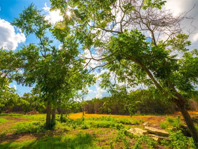 Property photo 4 at 0 Spring Haven Ranch - None, Wimberley, TX