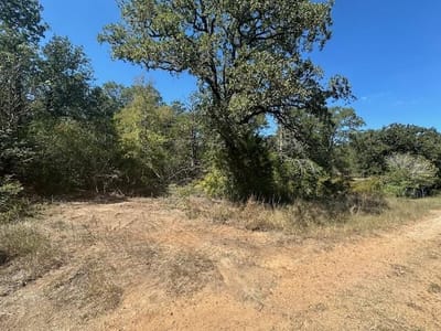 Living area at 0 Tbd lot 102 and lot 100 Ripple Brook Dr - Lake Bastrop Acres, Bastrop, TX