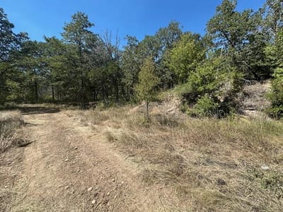 Living area at 0 TBD lot 103 Ripple Brook Dr - Lake Bastrop Acres, Bastrop, TX