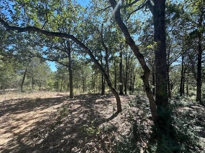 Primary bedroom at 0 TBD lot 103 Ripple Brook Dr - Lake Bastrop Acres, Bastrop, TX
