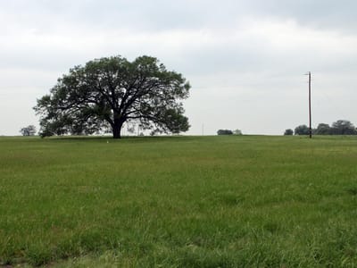 Property photo 2 at 00 Brushy Branch RD - n/a, Lockhart, TX