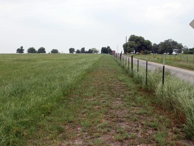 Property photo 3 at 00 Brushy Branch RD - n/a, Lockhart, TX